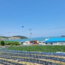 백야식당 이미지