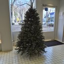 퐁신퐁신 | 대전카페 "로빈스수플레" 대흥동 수플레 맛집 솔직후기｜퐁신퐁신 존맛탱 카페 두쫀쿠 파는곳