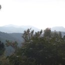 광양용강초등학교 이미지