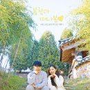 약초농원민박 | 봄찾아 떠난 전라도, 구례 순창 담양 1박 2일 여행