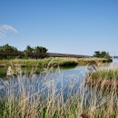 베스트어린이전용 수영장 이미지