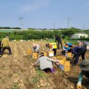 사랑농장 2 이미지