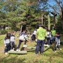 호계초교병설유치원 이미지