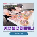 원광환경센타 | 축제행사 체험부스 후기 볼꾸 키꾸가 인기 있는 이유와 운영 방법