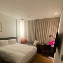 씨유안락대로점 | [서울 서대문구] 가성비 좋았던 신라스테이 서대문 숙박 (호캉스로는 비추 후기)