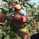 미루농원 이미지