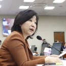 준정보 이미지
