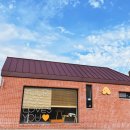 아로펫그루밍 이미지