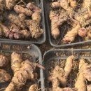 칸나하우스 이미지