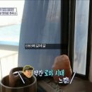 와르르맨션 이미지