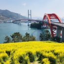 2023년 4월 5(수)~6(목) 2023순천만국제정원박람회 &amp; 남해독일마을 왕지벚꽃 이미지