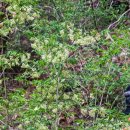 청계산 등산로 이미지