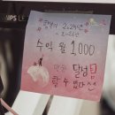 [공지] 중국 구매대행 사업일지 #38 셀러 매출 한달...매출 안 나올 때 꼭 보세요 성공사례 현실 후기'