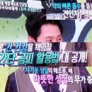 미세먼지 배출에 좋은 곰피 이미지