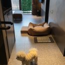 GS25 홍천비발디파크점 이미지