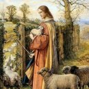 양한마리 이미지