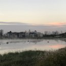 동삭1교 이미지