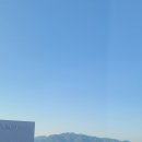 시즈오카 나홀로 여행기 DAY2(산코인시즈오카 조식, 슨푸성 공원, 시즈오카현청, 마구로미나미...