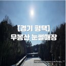 무봉산청소년수련원 본관 1층 | 경기도 눈썰매장 평택 무봉산 눈썰매장 솔직후기 I 겨울 아이와 가볼만한 곳