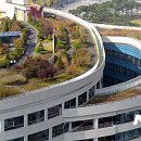 청사큰길 이미지