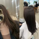 열에아홉미용실 | 강남구청역 미용실 비오른헤어 여름쿨톤 라이트 웨딩염색 후기