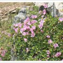 그바다에 가면 이미지