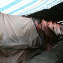 오일장터 앞 이미지