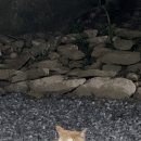 마당과다락방