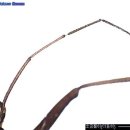 소금쟁이 이미지