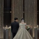 부산아이폰스냅 본반디스냅 본식 솔직후기