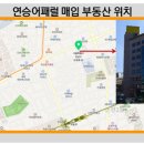 연승어패럴 이미지