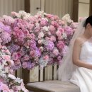 플래닝 짐(Planning Gym) | [웨딩] 본식 6개월 후 작성하는 4월의 본식 후기