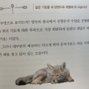 엘링컨 | 이집트 상형문자 배우기