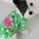 아꼬떼 이미지