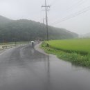 사기점농장 이미지