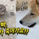 우리집 이미지