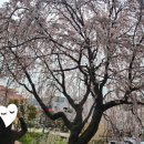 엔젤리너스 진주금호못점 이미지