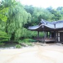 최참판댁 Daum카페