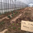 현수농장 이미지