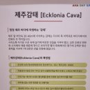 아하데이스파김해 네이버블로그