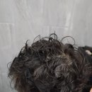 (주)아이파마 | 7세 남자아이 파마 후기｜초등학교 입학 준비 헤어스타일, 7세 남아 파마 리얼 후기