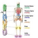 업프로짐 이미지