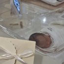 헤일로즈산후조리원 이미지