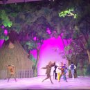 더블리스 코리아 콘서트 이미지