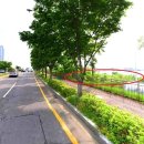 신평농장 이미지