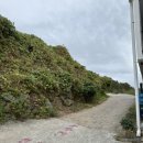 더파티뷰 펜션 이미지