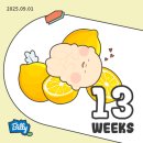 일상 여행 중국어(9월~10월/8주) | 미국일상 37 <25년 7월-10월까지>