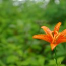 우리네국수 이미지