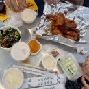 까마또농장 | 다섯번째 포토덤프 I 7월 셋째주 일상 🐈