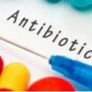 메디인폴스 이미지